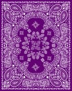 Paisley textile pattern vector illustration Royalty Free Stock Photo