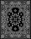 Paisley textile pattern vector illustration Royalty Free Stock Photo