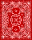 Paisley textile pattern vector illustration Royalty Free Stock Photo