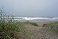 Pajaro Dunes Beach Royalty Free Stock Photo