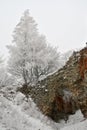 Pajstun - winter