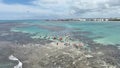 Pajucara Nature Pool At Maceio In Alagoas Brazil.