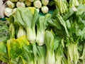 Pak choi also known as bok choy or Chinese celery cabbage