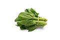 Pak Choi on white background