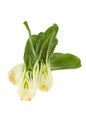 Pak choi