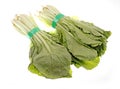 Pakchoi