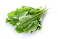 Pakchoi Royalty Free Stock Photo