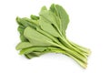 Pakchoi, Chinese cabbage on background