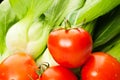 Pakchoi and tomato Royalty Free Stock Photo
