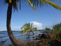 Paki's Point, Bocas Town Royalty Free Stock Photo