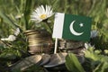 Pakistan flag with stack of money coins with grass Royalty Free Stock Photo