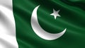 Pakistan flag, with waving fabric texture
