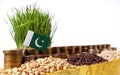 Pakistan flag waving with stack of money coins and piles of wheat Royalty Free Stock Photo