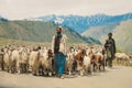 Pakistan Shepherds in Traditional dress with goats, herd high in Gilgit Baltistan mountains Royalty Free Stock Photo