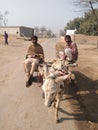 Pakistan village in bahawnagar tow young boy