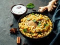 Pakistani chicken biryani rice, copy space, banner