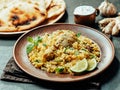 Pakistani chicken biryani rice, copy space Royalty Free Stock Photo