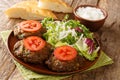 Pakistani cuisine Lamb Patties Chapli Kebab with fresh vegetables close up in the plate. Horizontal