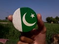 Pakistani flag batch , with beautiful village background.