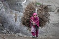 Pakistani woman in traditional clothes carry firewood