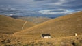 Pakituhi Hut and mountains