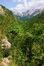 Paklenica National Park, Croatia Royalty Free Stock Photo