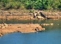 Pakmun Dam Landscape