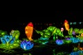 Pakruojis Manor, Lithuania - December 21, 2019: Fabulous backwater with water lilies and fish made of floating lanterns on black