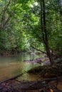 Paku River, Borneo Royalty Free Stock Photo