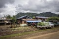 The farmer harvesting of vegetables takes place every week of the year.