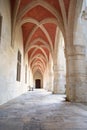 Palace of the Dukes of Lorraine, entrance of the museum in Nancy, France, medieval arch architecture