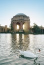The Palace of Fine Arts in the Marina District of San Francisco, California, Sunset with swan Royalty Free Stock Photo