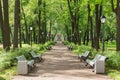 Palace Garden of the Kamennoostrovsky Palace on Kamenny Island in St. Petersburg