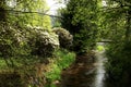 Palace garden with a small river and blooming rhododendrons.