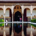 Palace with pool in Alhambra,Spain