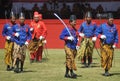 The palace soldiers appeared in the art parade Royalty Free Stock Photo