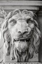 Palace vintage statue, the lion's face