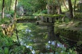 Palacio da Pena gardens