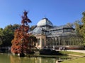 The Palacio de Cristal `Glass Palace` Royalty Free Stock Photo