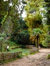 Palacio de Monserrate Palace in Sintra, Portugal near Lisbon. Detail of the Romantic style Botanical Garden that surrounds the