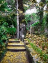 Palacio de Monserrate Palace in Sintra, Portugal near Lisbon. Detail of the Romantic style Botanical Garden that surrounds the