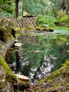 Palacio de Monserrate Palace in Sintra, Portugal near Lisbon. Small lake or pond on the Romantic style Botanical Garden that