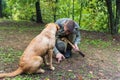 PALADINI, CORATIA - SEPTEMBER 26, 2022: Truffle hunter with dog in Paladini, Croatia. Pigs and dogs can sniff out