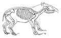 Palaeotherium magnum, vintage illustration