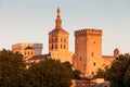 Palais des Papes in Avignon, Provence, France Royalty Free Stock Photo