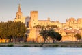 Palais des Papes in Avignon, Provence, France Royalty Free Stock Photo