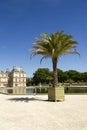 Palais Luxembourg, Paris, France Royalty Free Stock Photo