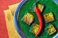 Palak Paneer Royalty Free Stock Photo