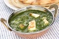 Palak paneer , spinach and cheese curry , indian f