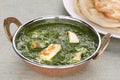 Palak paneer , spinach and cheese curry , indian f